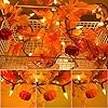 Thanksgiving decorations maple leaf string lights plug in 8ft leaves garland with 35 bulbs lighted fall garland lights string  urban country home decor