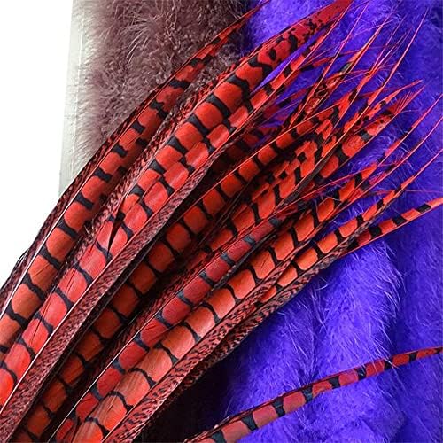 50pcs/Lot Colored Lady Amherst Pheasant Tail Feathers for Crafts Long Decor DIY Carnival Wedding Accessories Decoration Plumes - 70-80cm 28-32inch