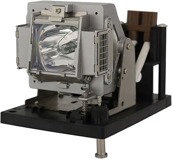 BulbAmerica Projector Lamp for Vivitek DU6675 - Housing Assembly with Original OEM Bulb