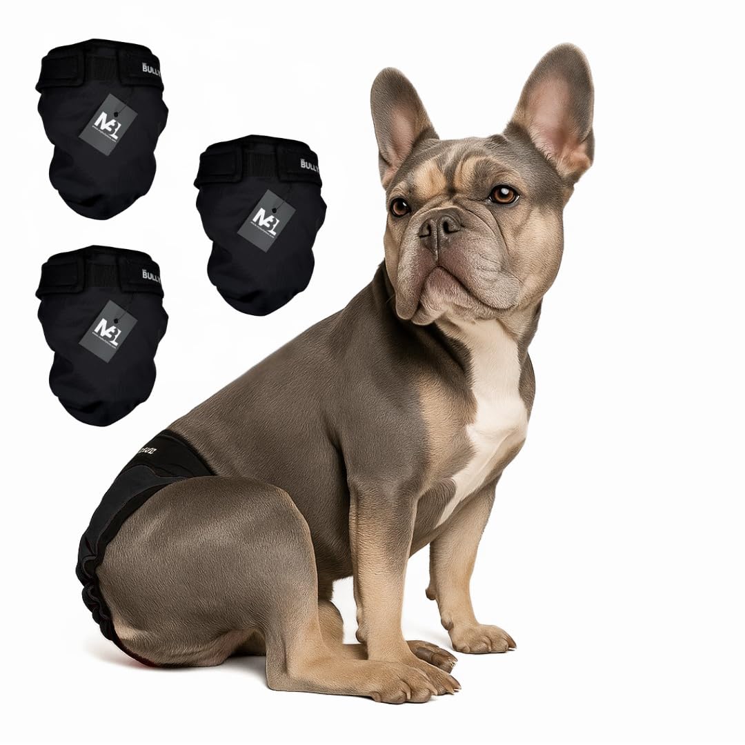 Set da 3 mutandine igieniche lavabili per Bulldog francese, senza foro per la coda, regolabili e riutilizzabili – Tutto nero, Grande (circonferenza fianchi 49–53 cm)