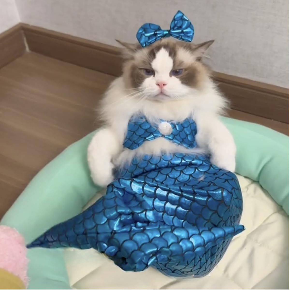 Amazon | 猫のマーメイド制服 猫と人魚姫の衣装 猫と人魚姫のしっぽ