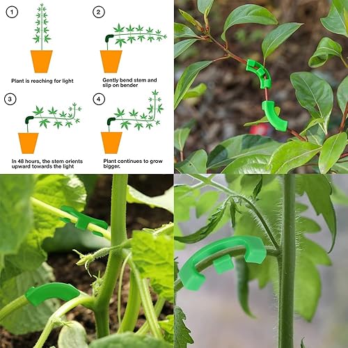 Miniatura 4 de 80 clips de entrenamiento de tallo de plantas, ramas dobladoras de brotes de plantas de bajo estrés, clips de soporte para plantas, abrazaderas de