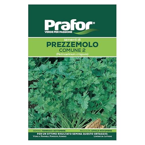 Hortus Semi prafor di prezzemolo Comune