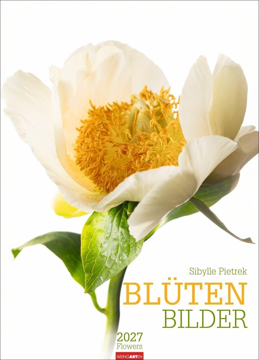 Blütenbilder Kalender 2027: Großer Jahres-Wandkalender mit stilvollen Fotos prachtvoller Blüten. Blumen-Kalender für die Wand. 49 x 68 cm. Hochformat