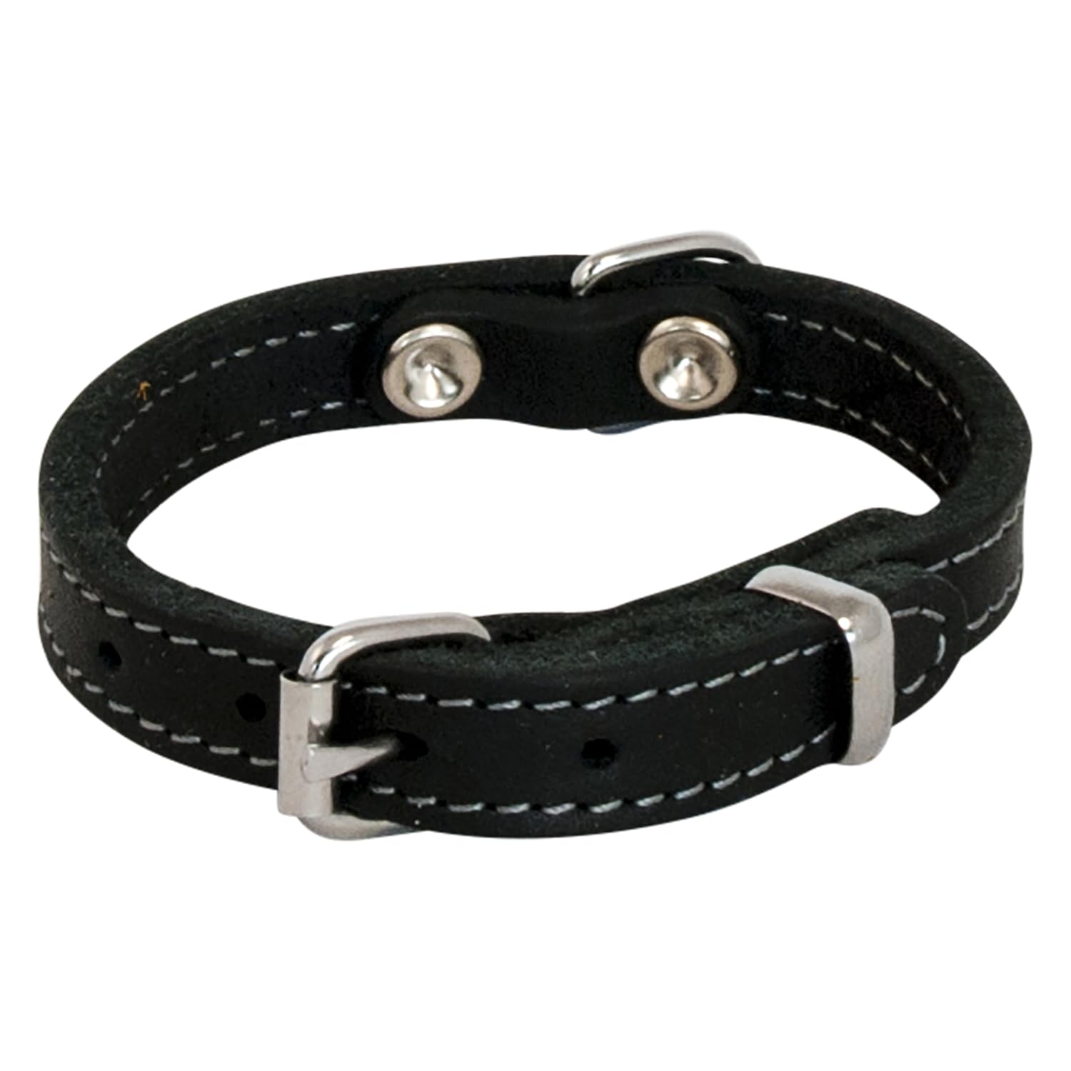 Jack and Vanilla - Oil Leather Dog Collar - Durable Material, Easy Care, Soft and Comfortable to Touch - Modern Look - Black Colour, Size 25mm x 55cm