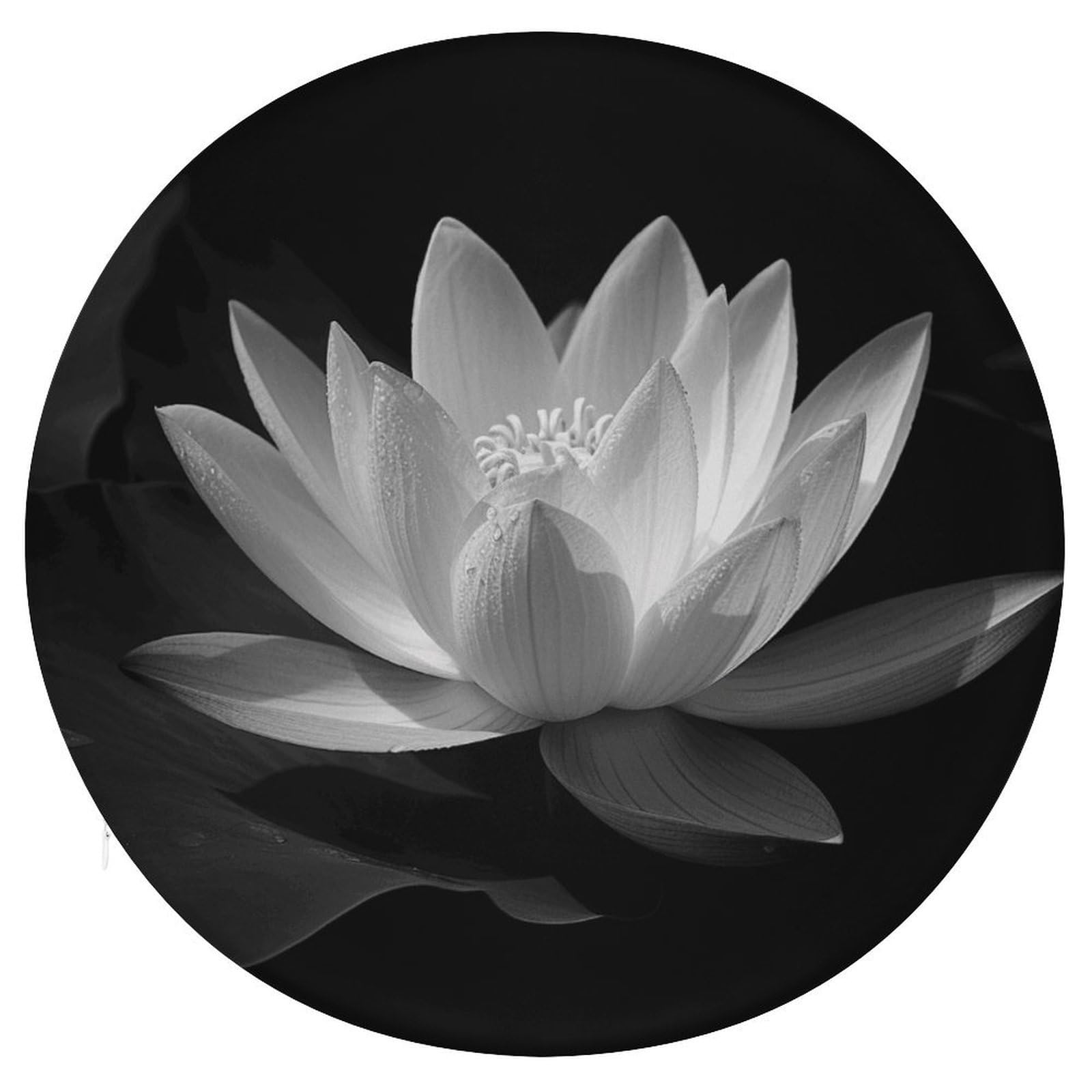 Wsoihfec Style Black And White Lotus Seat Cushion Round Chair Pad