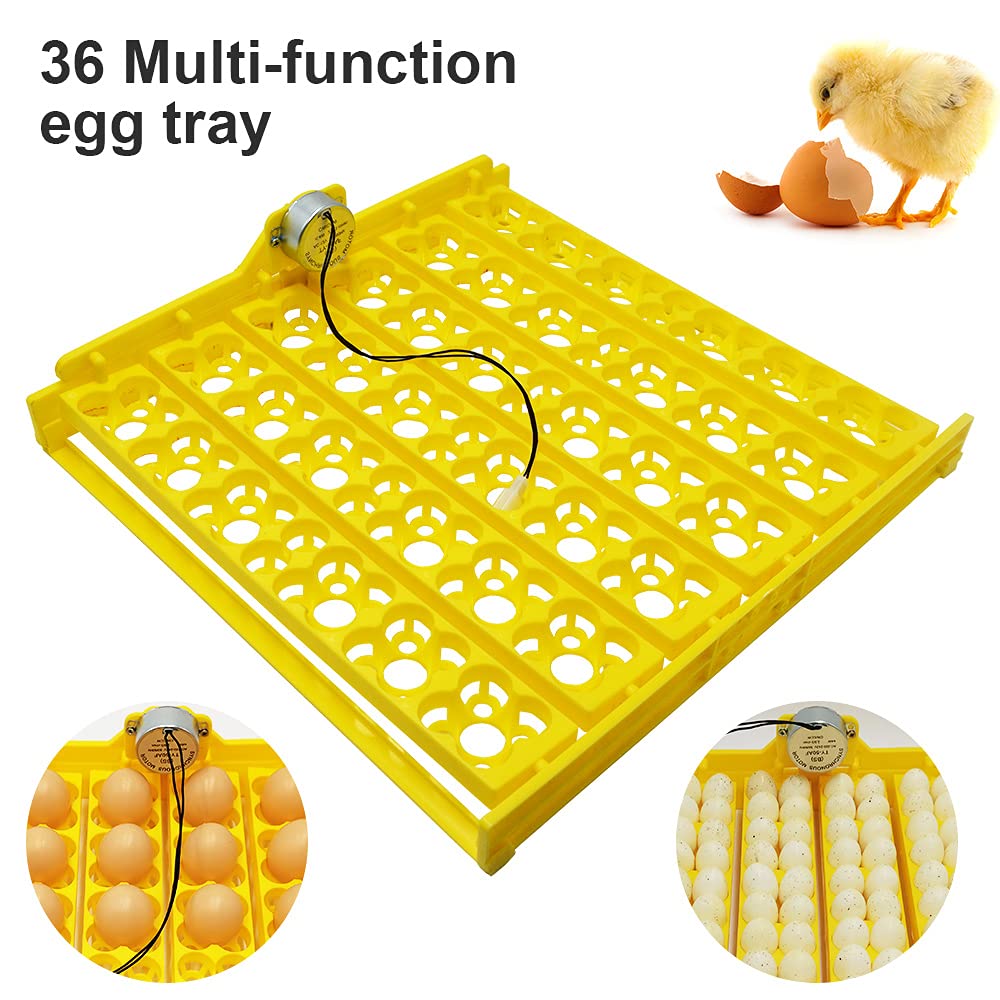 Bandeja de Huevos para incubadora, giratoria, automática, con Motor, para Pollos, Patos y pájaros (220 V)