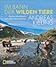 Produktbild NATIONAL GEOGRAPHIC Bildband: Andreas Kieling. Im Bann der wilden Tiere. Sehnsucht Wildnis. Eine spannende und atemberaubende Abenteuerreise in Kielings wilde Welt.: Abenteuer auf allen Kontinenten