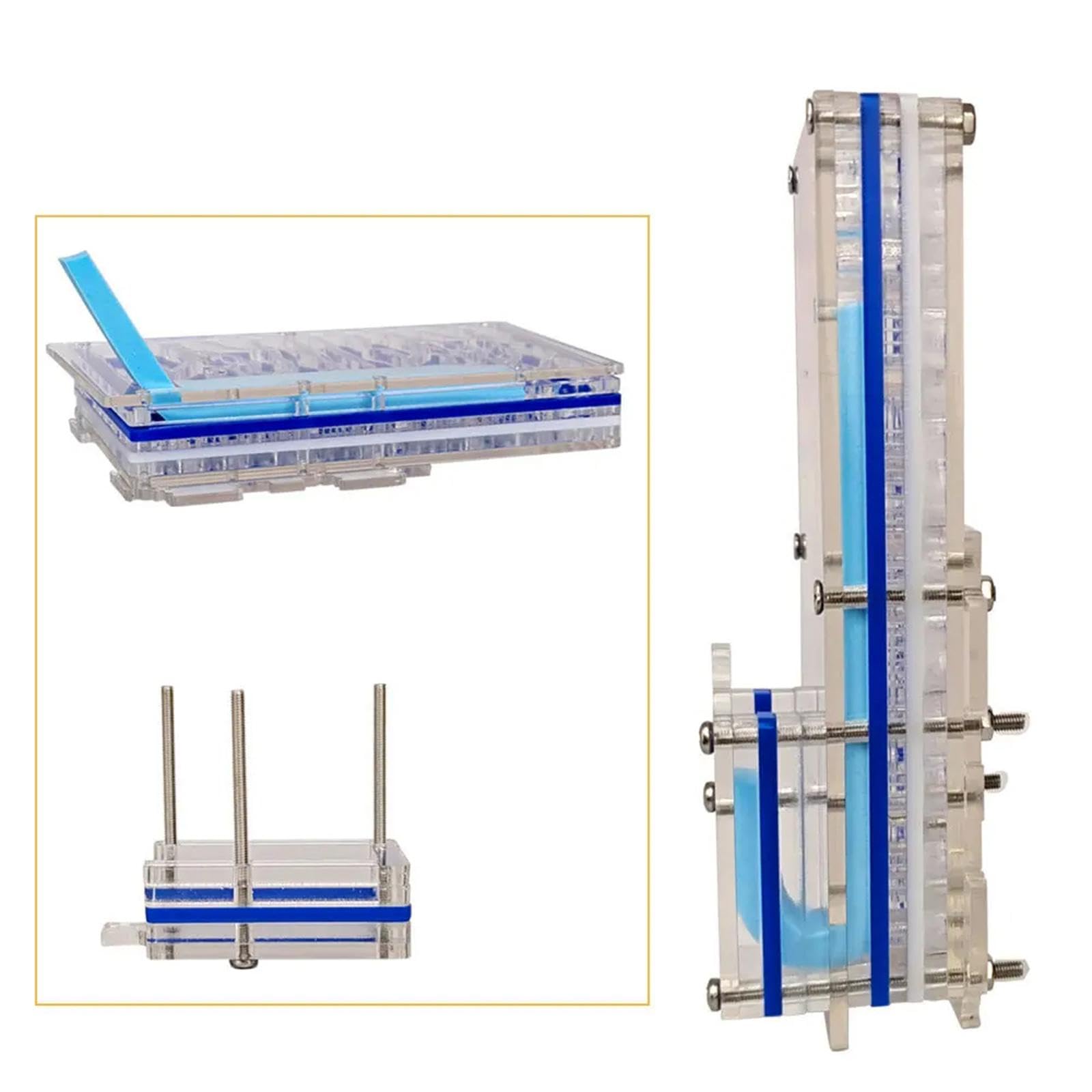 Nido de cría para Hormigas, Nido de Hormigas acrílico, Caja Transparente de Exhibición de Juguetes Educativos, Granja de Hormigas para Amantes, Regalo de Cumpleaños, Azul