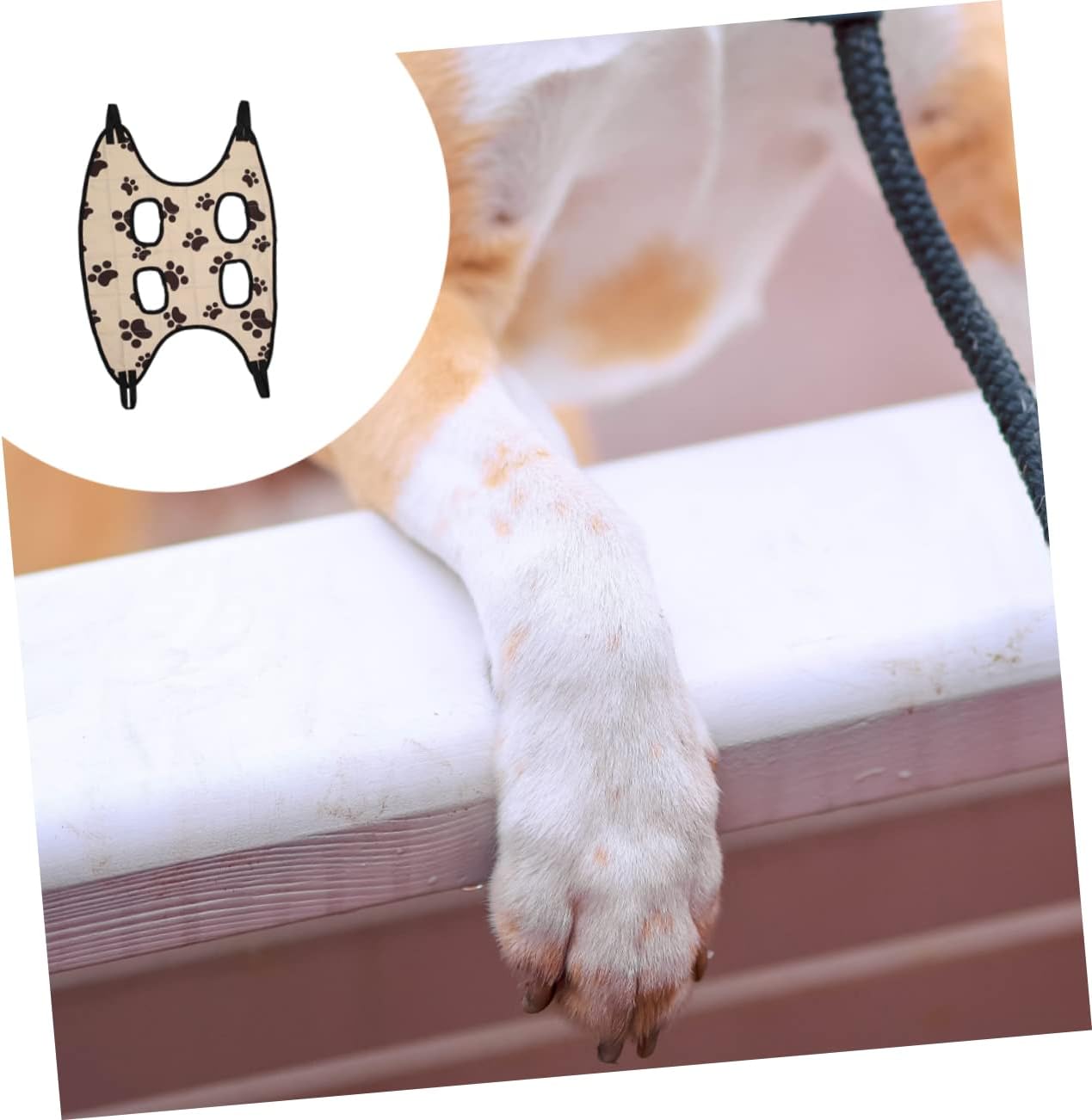 review Grooming Hammock for Cats Nail Clippers for Cats Hammock Sling for Cats for Trimming Dog Hammock for Trimming Hanging Bed for Cats Hammock, 57.00X43.00X1.00CM