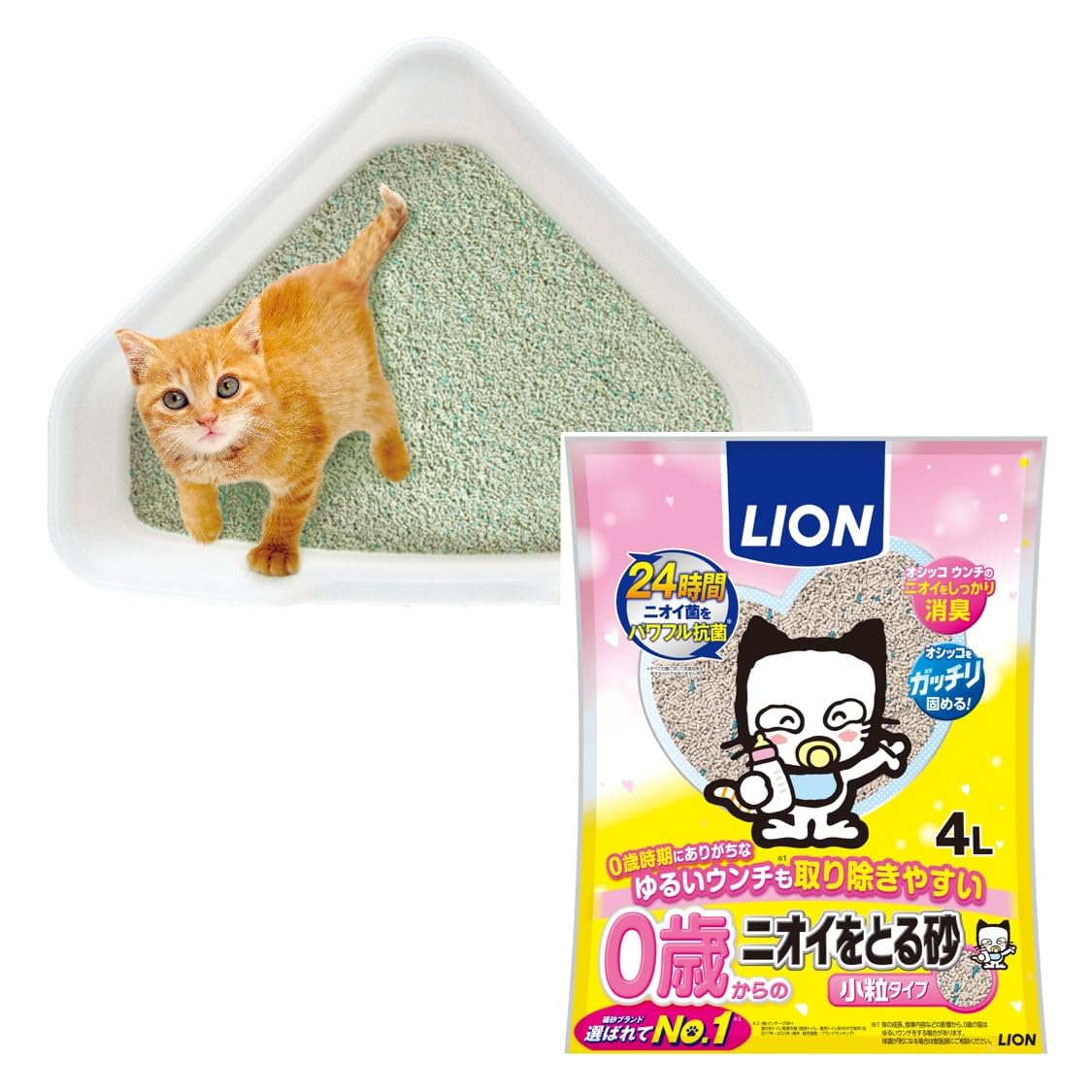 子猫　お出迎えセット 楽天市場】子猫お迎えケージセット 送料無料 初心者 初めての飼育は