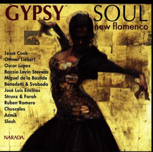 Gypsy Soul: New Flamenco [Audio CD]