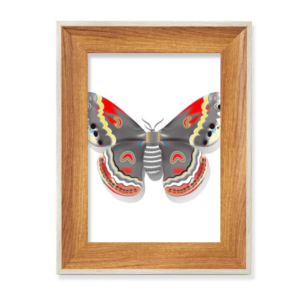 Cerf-volant papillon style chinois cadre photo bois bureau tableau