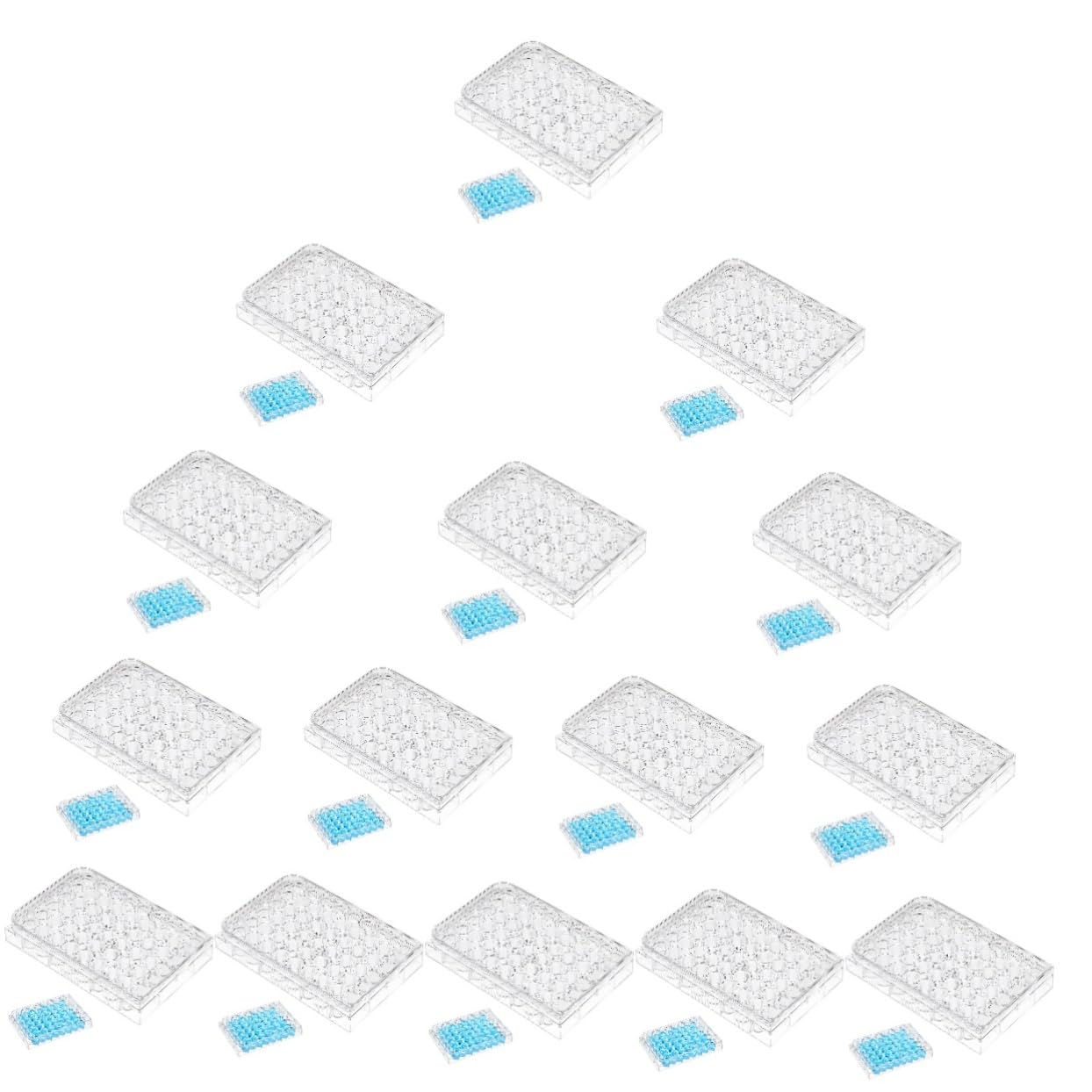 ULTECHNOVO 15 Piezas placa de cultivo celular pre kit de cultivo de tejidos redes placas de reacción placa de pozo profundo tanque plato con tapa 4k plato de cultivo placa de cultivo para