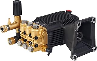 Canpump 3600 psi @ 4.8 US gpm, 1-in Shaft Pressure Washer Pump