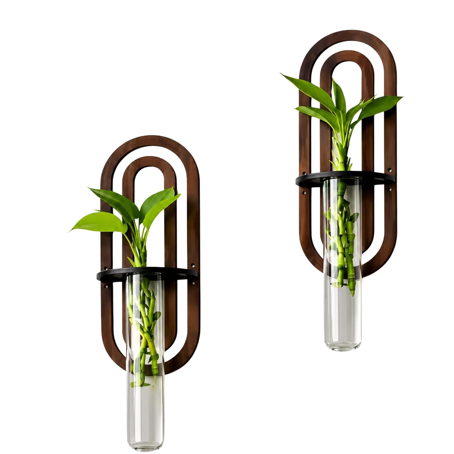 Wooden Wall Mounted Planter set 2 | Glass Test Tube Vase | Indoor Plant Holder | Hydroponic Wall Vase | Hanging Flower Pot Stand | Home Decor for Living Room, Bedroom, Office & Balcony | Brown-image-10