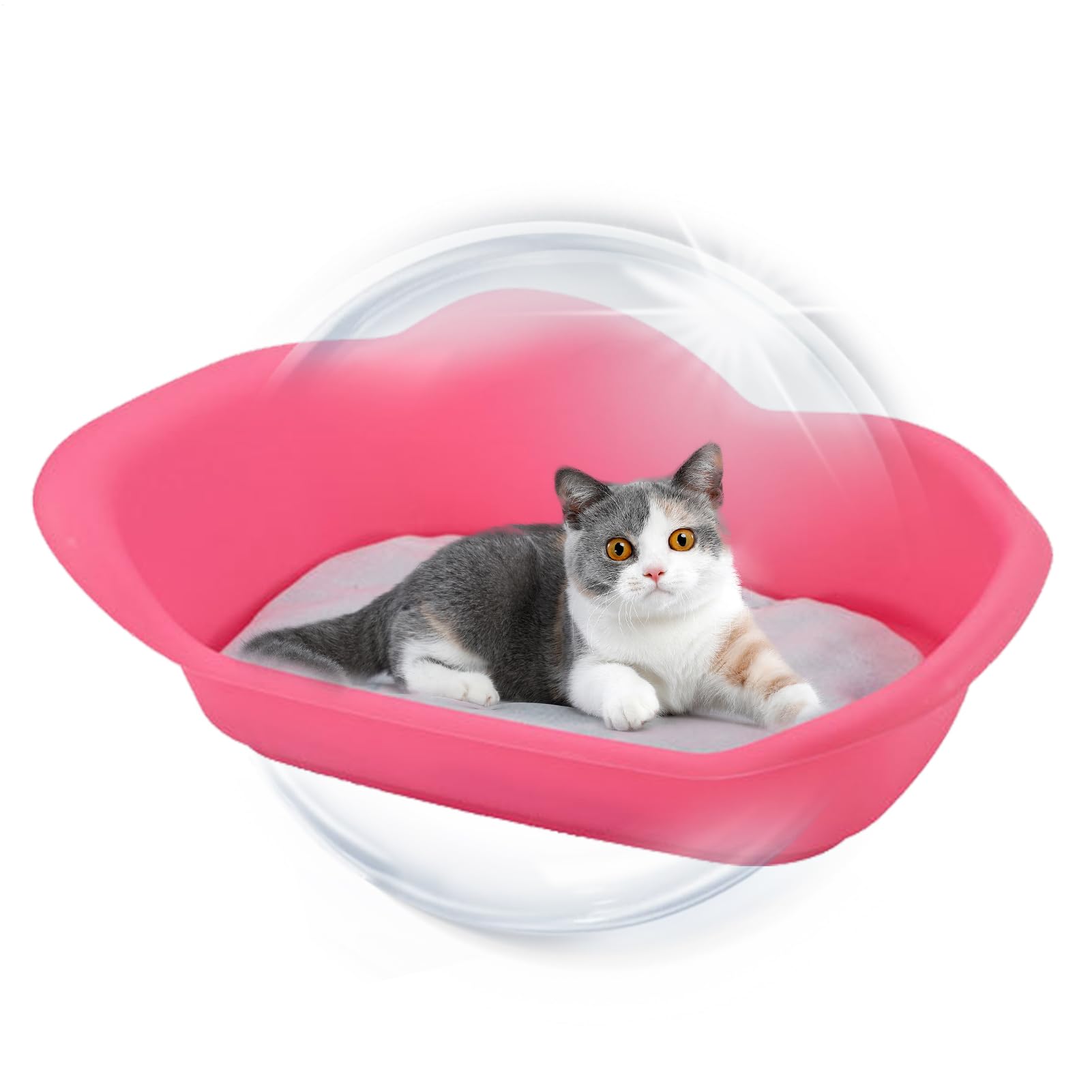 Box per cuccioli con base antiscivolo igienica per animali domestici | Cucciolo Scatola di parto Forniture per animali domestici Gatti