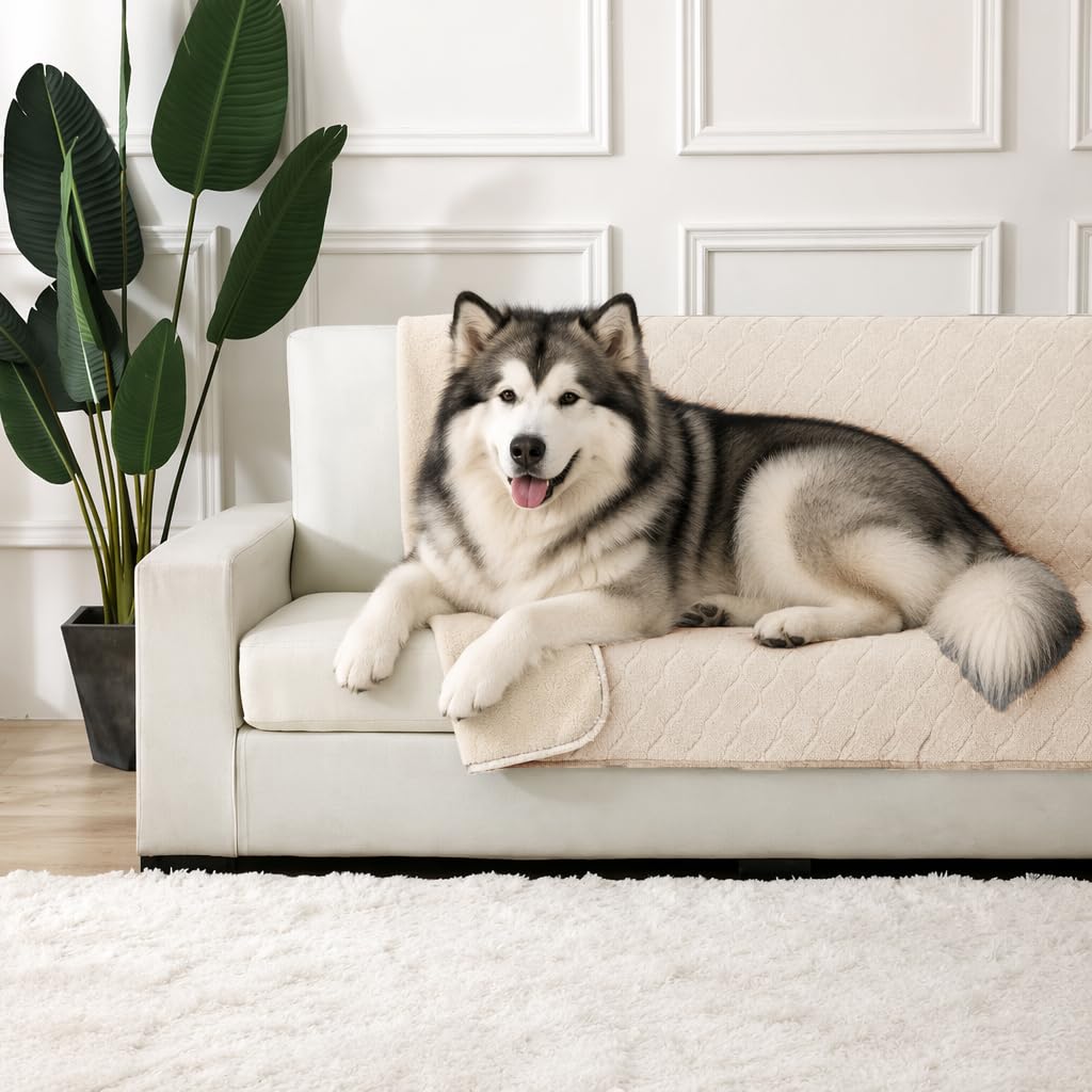YMYDYFC Waterproof Dog Blanket Washable - 120x100cm Fleece Dog Blanket For Dogs and Pets,Pet Throw Protects Bed and Sofa with Soft Plush Pet Throw Protects Bed Easy Care&Machine Washable,Apricot