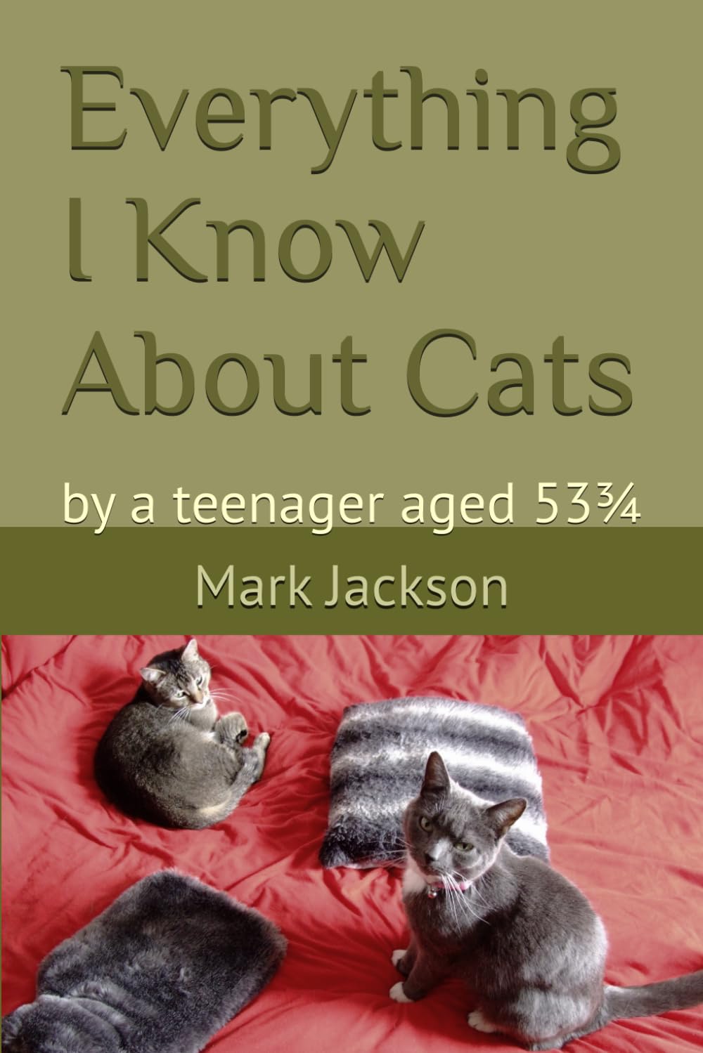 EVERYTHING I KNOW ABOUT CATS: by a teenager aged 53¾