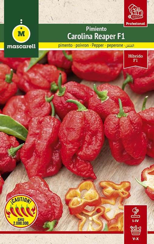 Mascarell Semillas, Semillas de Pimiento Carolina Reaper, los más Picantes del Mundo, Ideal para Salsas Extremas y Aderezos, Chili Picante, Cultivo y Huerto en Casa, Contiene 8 sem