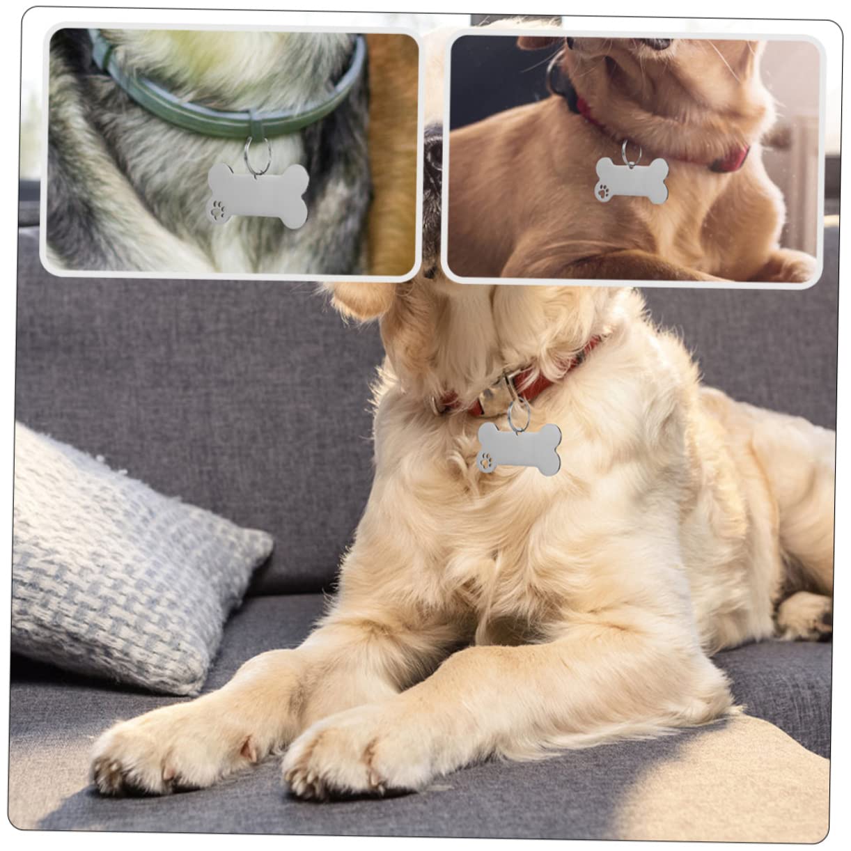 POPETPOP 30piezas Placas De Identificación Para Perros y Gatos De Inoxidable Grabadas Nombre Teléfono De Unidades Diseño Elegante y Resistente Para Mascotas