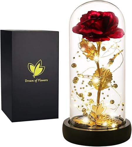 Miniatura 42 de Regalos de cumpleaños para mujer, rosa de la Bella y la Bestia en cúpula de cristal, rosa de seda con luces, regalo para mamá, regalos románticos