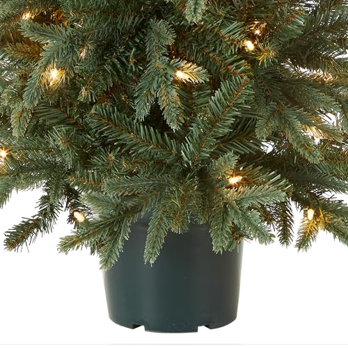 National Tree Company ED3-307-30 Artificial Christmas Tree thumb #2