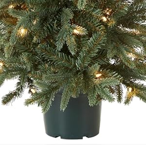 Nationaltreecompanyartificialchristmastreeforentrancesincludeswhitelightsandpoteverydaycollections3ft Urban Country Home Decor National tree company artificial christmas tree for entrances includes white lights and pot everyday collections 3 ft urban country home decor