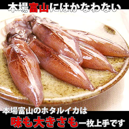 ほたるいか 春の味覚 なぜ富山産ホタルイカは大きいか さかなのさ 魚美味探求 ほたるいか 春の味覚 なぜ富山産ホタルイカは大きいか さかなのさ 魚美味探求