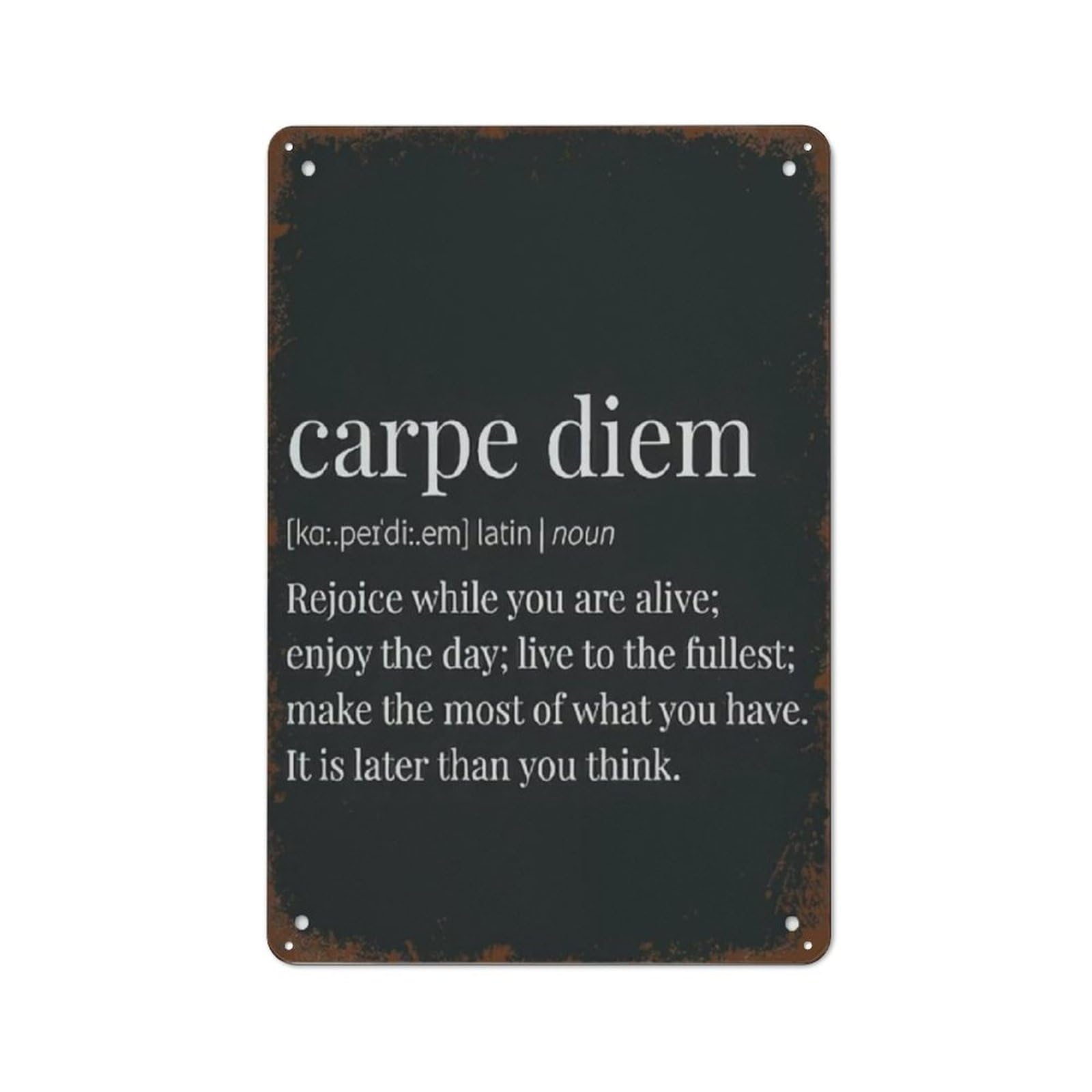 Kimghds Tin-584 Tin Signs Vintage Retro Metal Carpe Diem Print Carpe Diem Definition Funny Decorations For Bar Pub Cafe Farm Room Office Wall Decor Plaque,Educational Wall Art Gift 12X8 Inch
