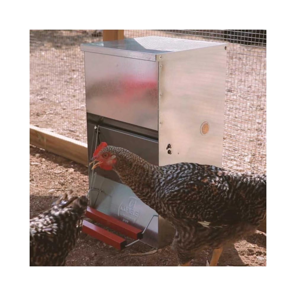 Comedero tolva para aves apertura mecánica Safeed 20k