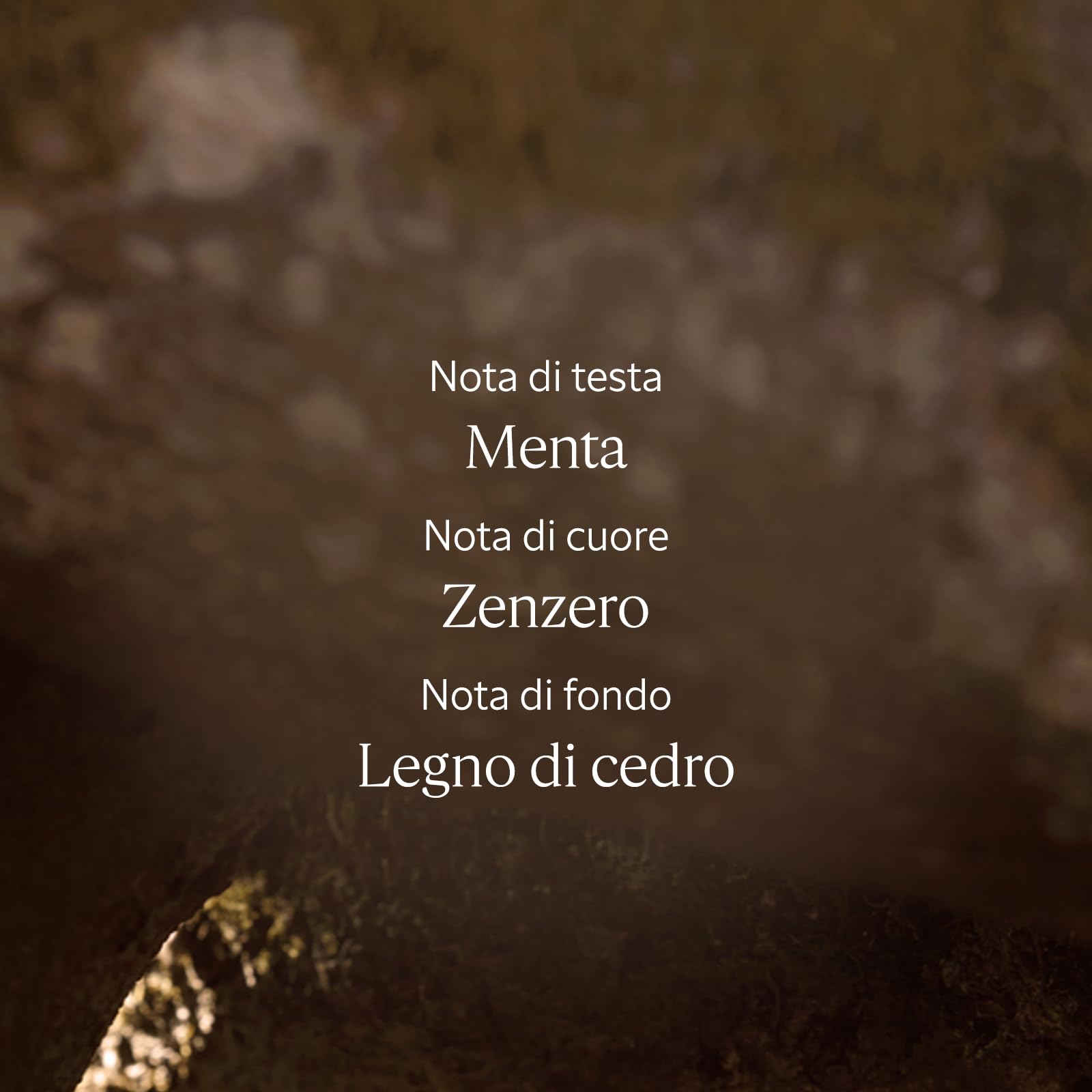 L'OCCITANE - Gel Crema dopobarba Cap Cédrat - 75 ml - Idrata e riduce le irritazioni - Prodotto in Francia