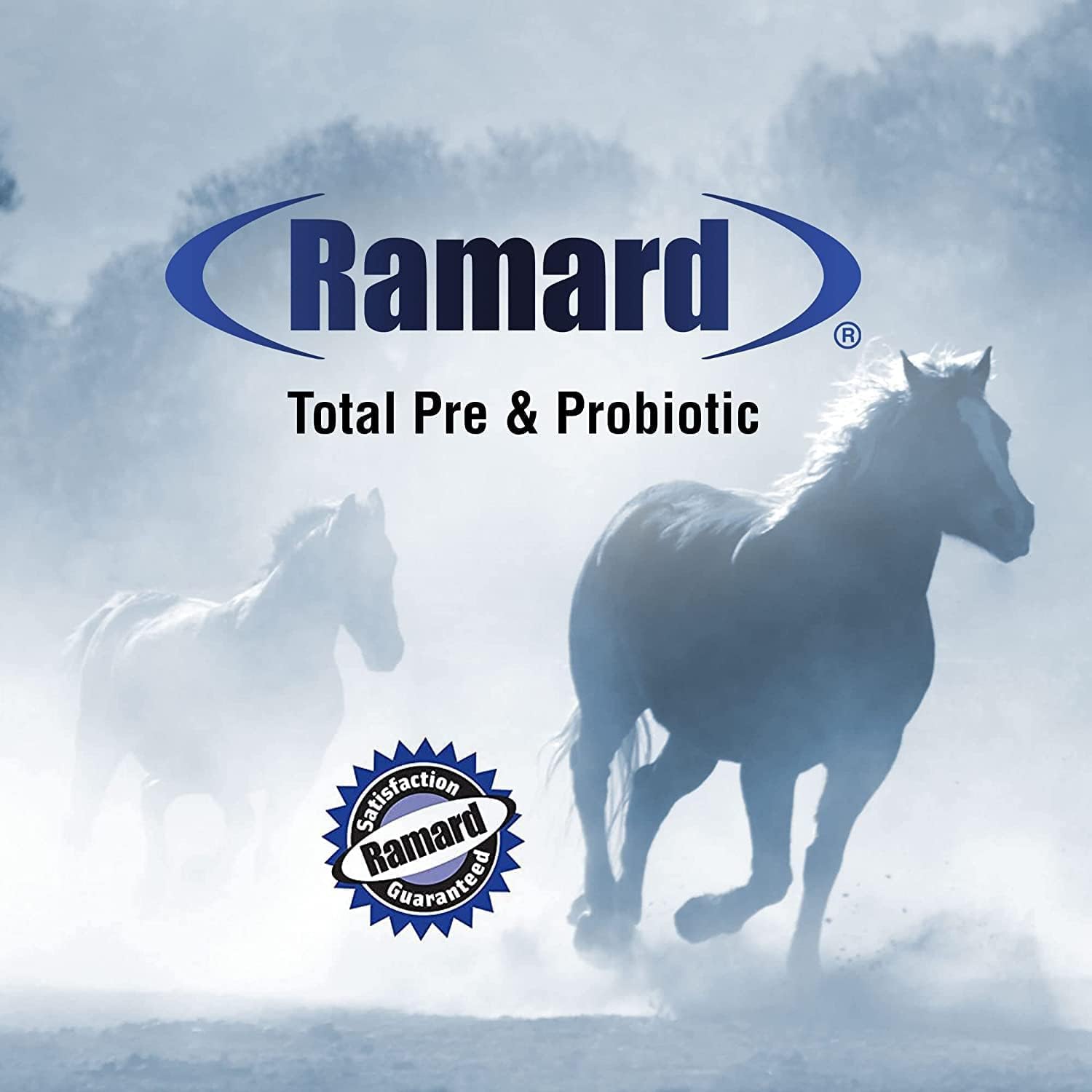 Ramard Total Equine Pre & Probiotic Syringe - Probiotics Horse Supplement - 50 Million CFU Probiotics to Aid Total Digestive Health in Foal & Horses - Horse Supplies Nutrition - Syringe 30cc (12pk) : Pet Supplies
