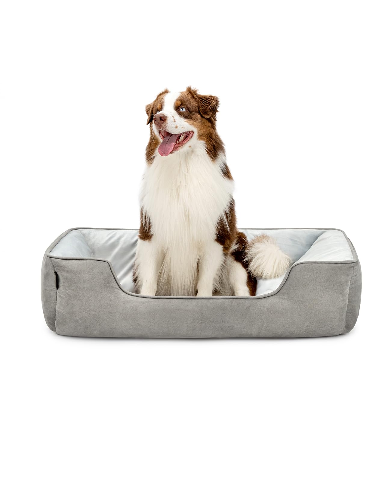 Lit pour chien lionto lavable et douillet pour aménager un coin repos dans votre salon