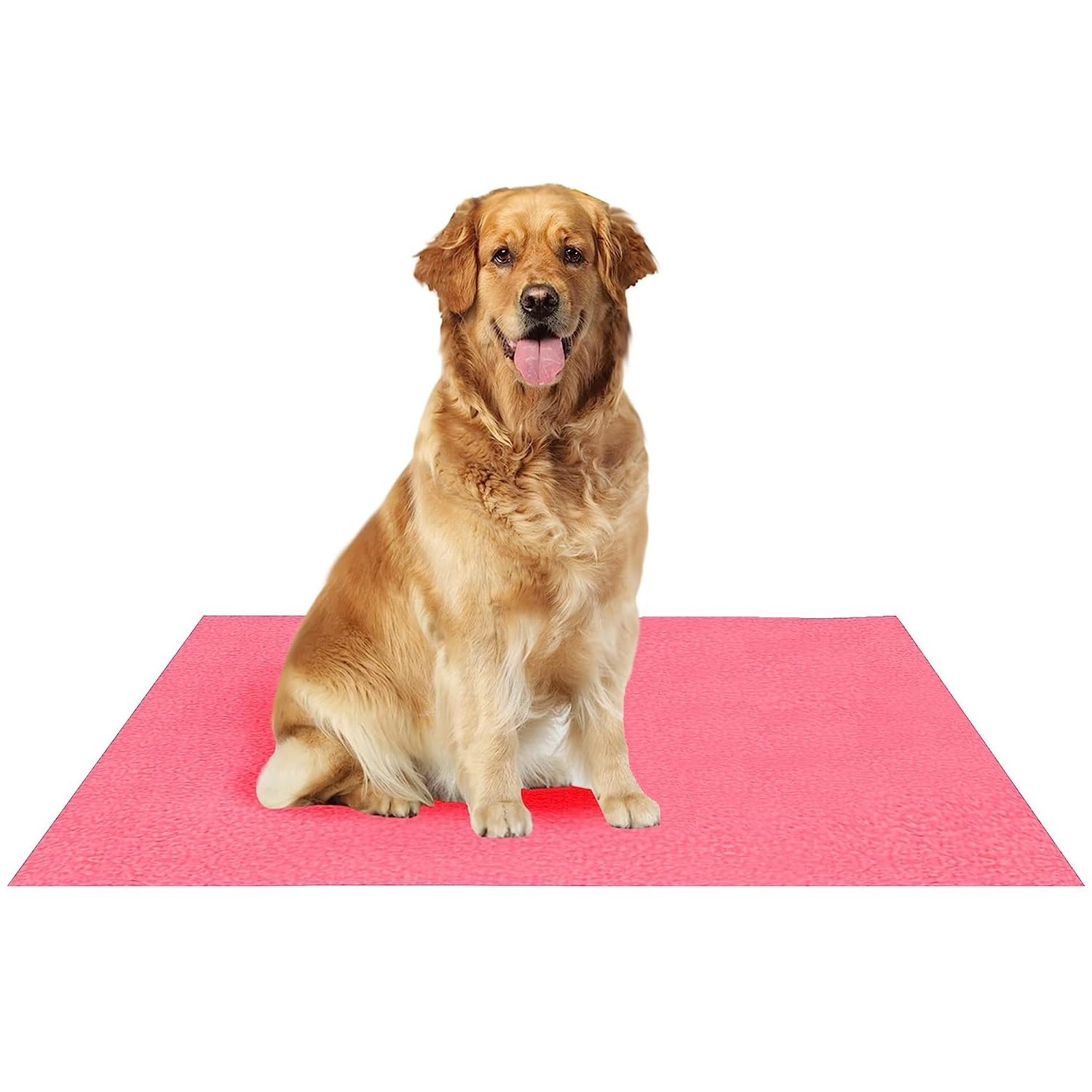 Fancy Dress Factory Waterproof Reusable Washable Pee Pads for Dogs | High Absorption Puppy Training Pads(100cm X 140cm) Violet (B0CCRKBDWB) Amazon Price History, Amazon Price Tracker