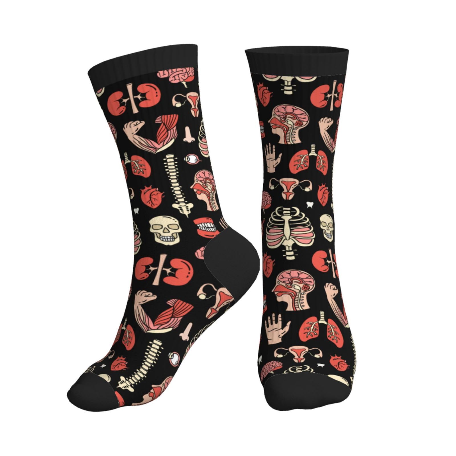 SEVEBJ Novelty Mid-Calf Socks Casual Crazy Funny Dress Sports Socks For Women Men Teens Gift Anatomy
