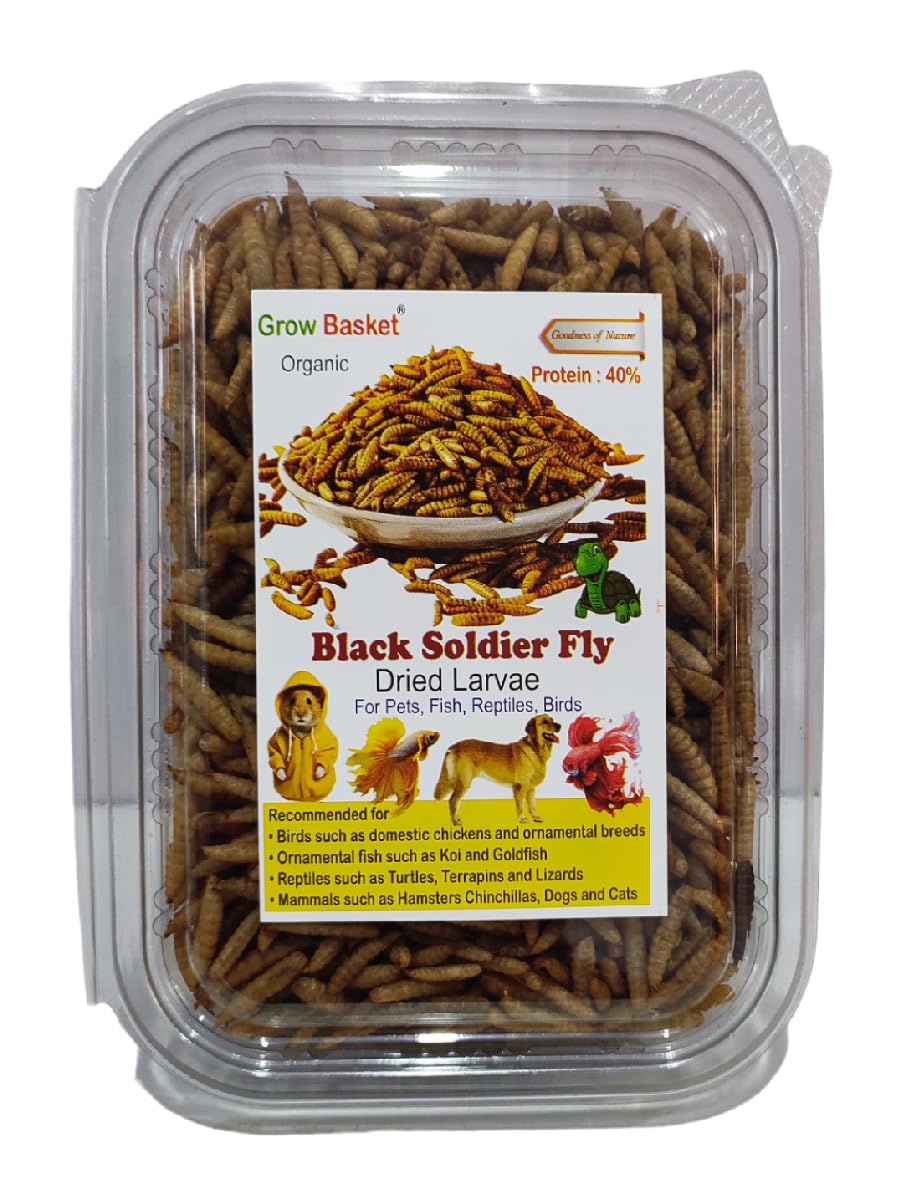 Dried Black Soldier Fly Larva Protein Rich Fish Food for Arowana, Flower Horn, Oscar, Fighter, Angelfish, Molly, Koi, Cichlids, Tetra, Discus, Redtail Shark (100 Grams) (B0CXPKT5GH) Amazon Price History, Amazon Price Tracker