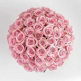 GlobalRose 100 Pink Roses Bouquet - Responsibly Sourced Roses Fresh Flow...