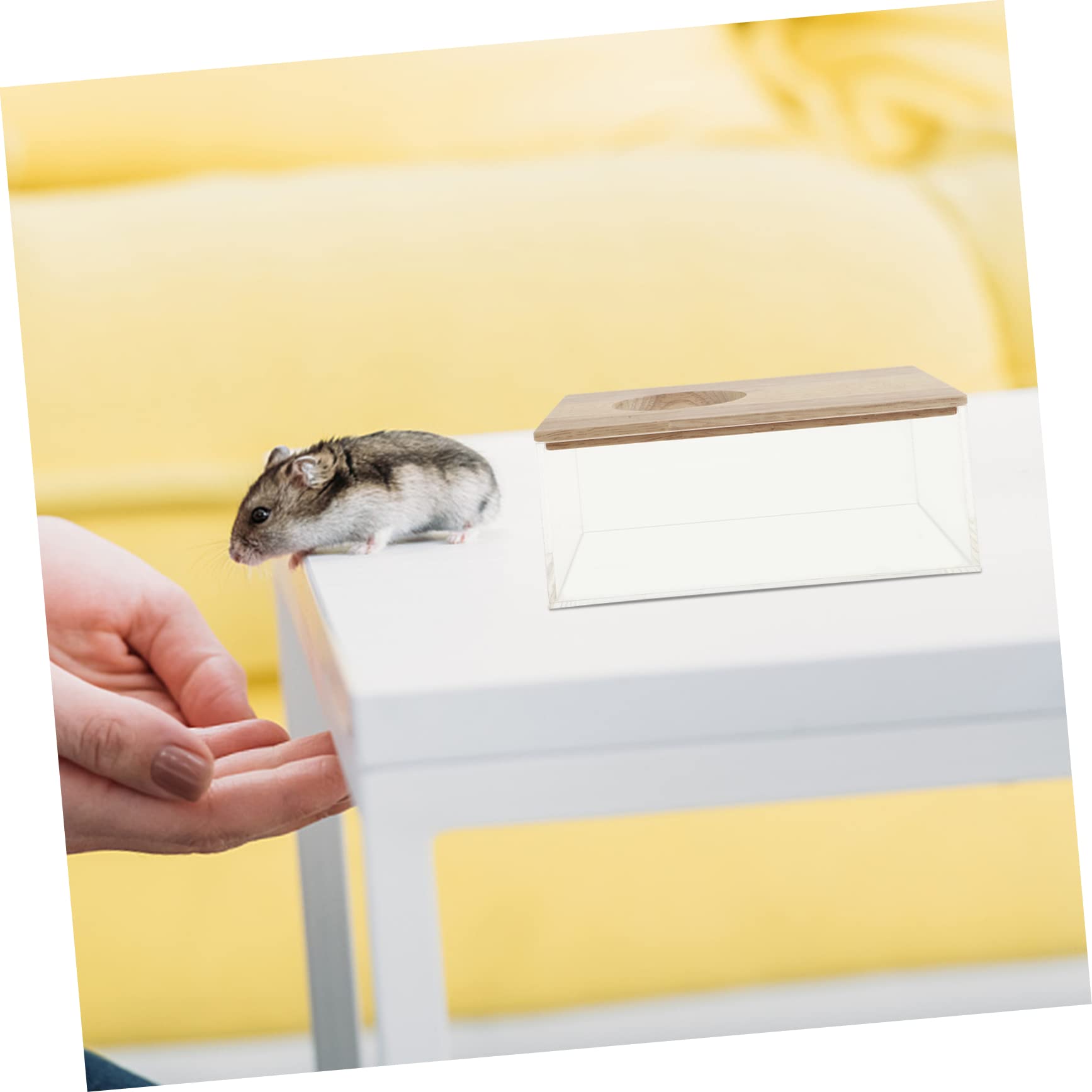 Mipcase Transparente Hamster Sandbadewanne mit Hohem Rand aus Acryl Holz