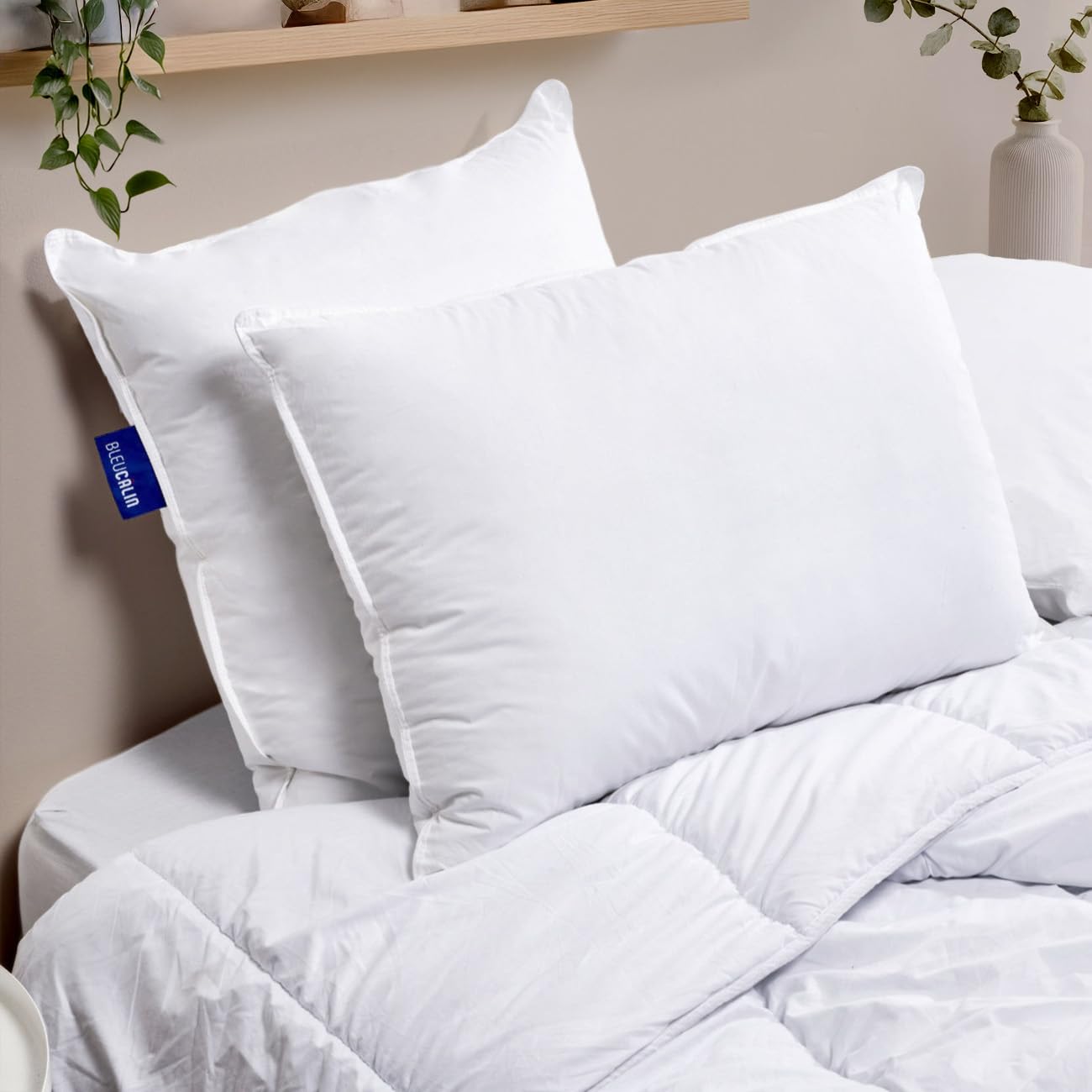 Bleu Calin Lot de 2 Oreillers Confort Ferme 'Alaska', Superbe Gonflant, 50x70 cm, Enveloppe 100% Coton Percale, Blanc, 50x70cm Forme rectangulaire