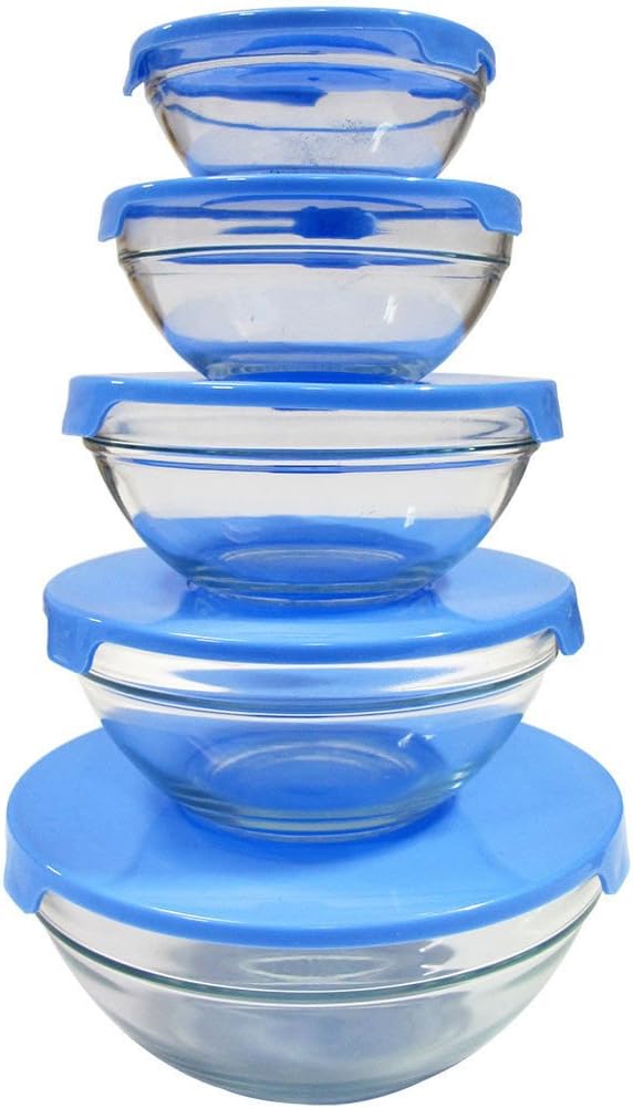 Cicony 10 Pcs Glass Lunch Bowls Healthy Food Storage