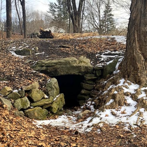 The Enviro Show on the Rocks