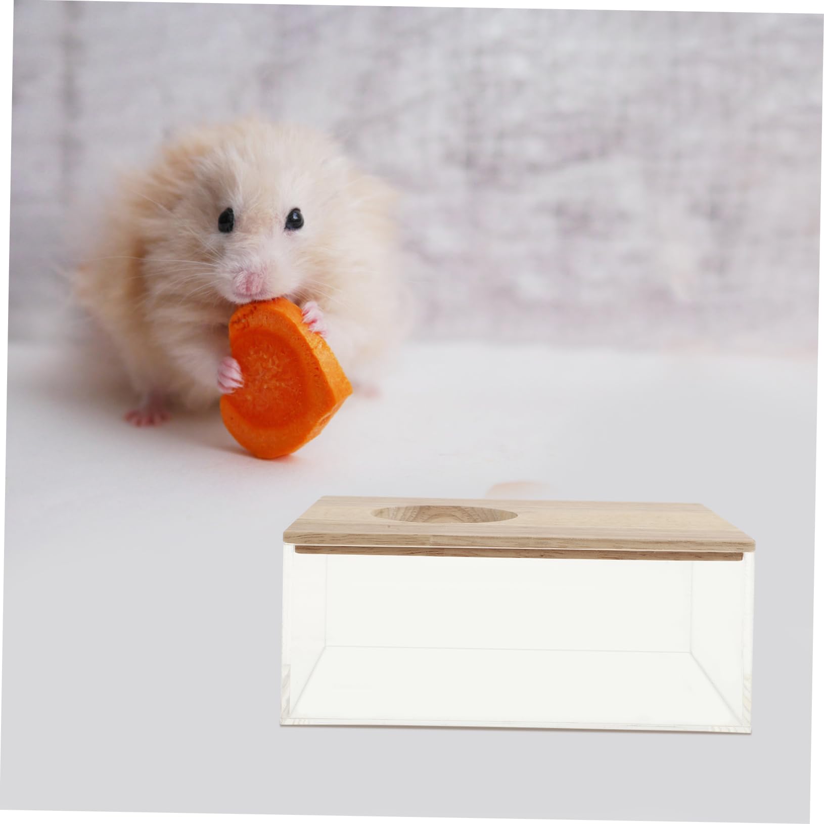 TOYANDONA Transparente aus Acryl und Holz mit Glatter Oberfläche und Leichtem Design Hamsterbadewanne für Kleintiere im Heimtierladen und Zuhause