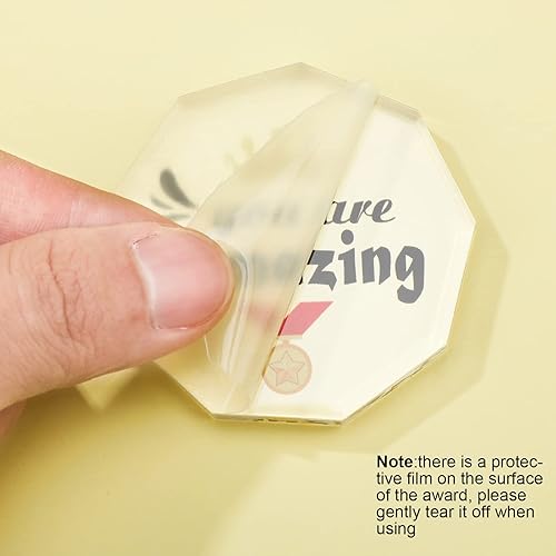 Miniatura 3 de Janmercy 24 piezas Vbs Evs Housekeeping Regalos de agradecimiento de medalla acrílica, trofeos de premio a granel, 6 estilos, placa grabada