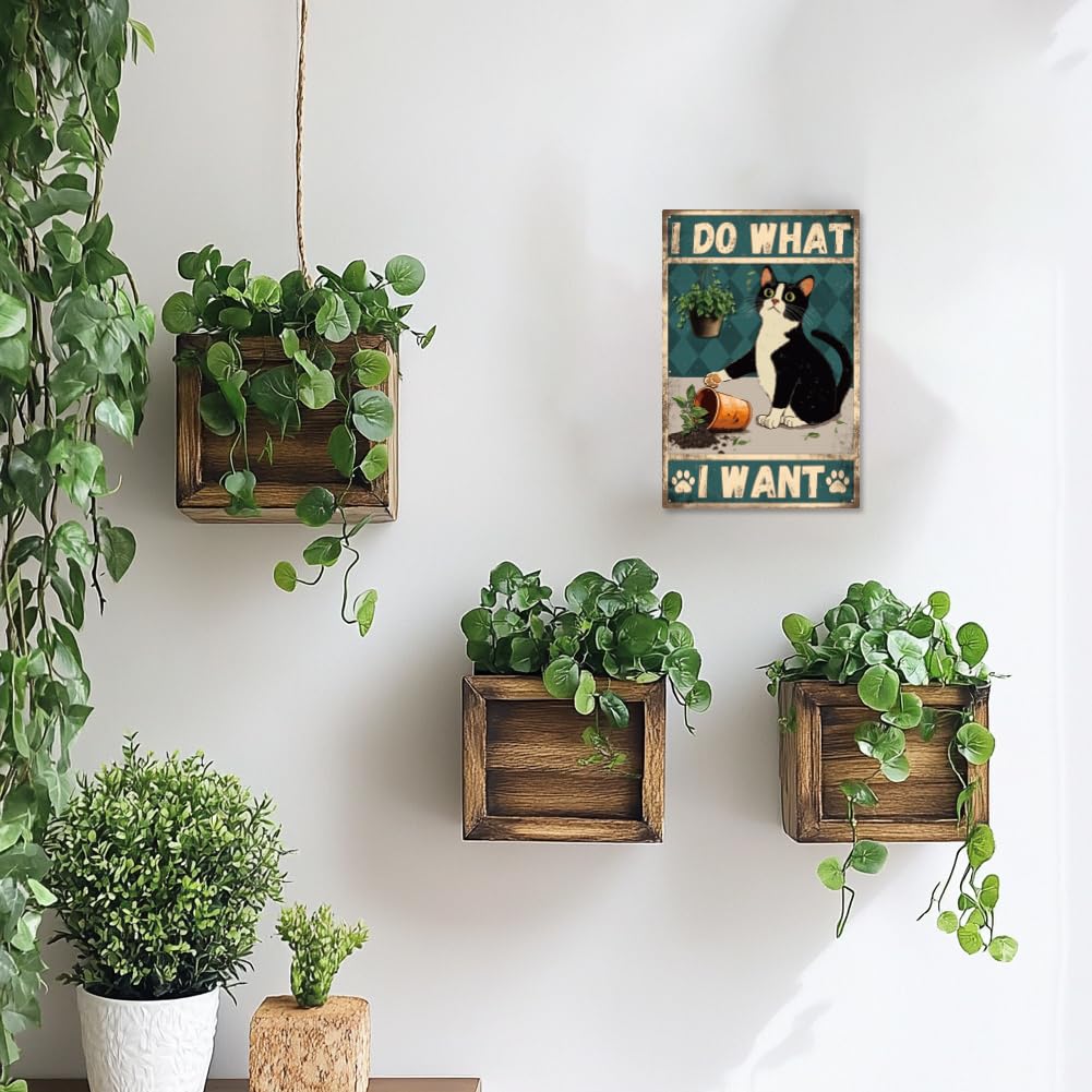 Panneau lumineux LED en forme de chat, décoration murale, alimenté par