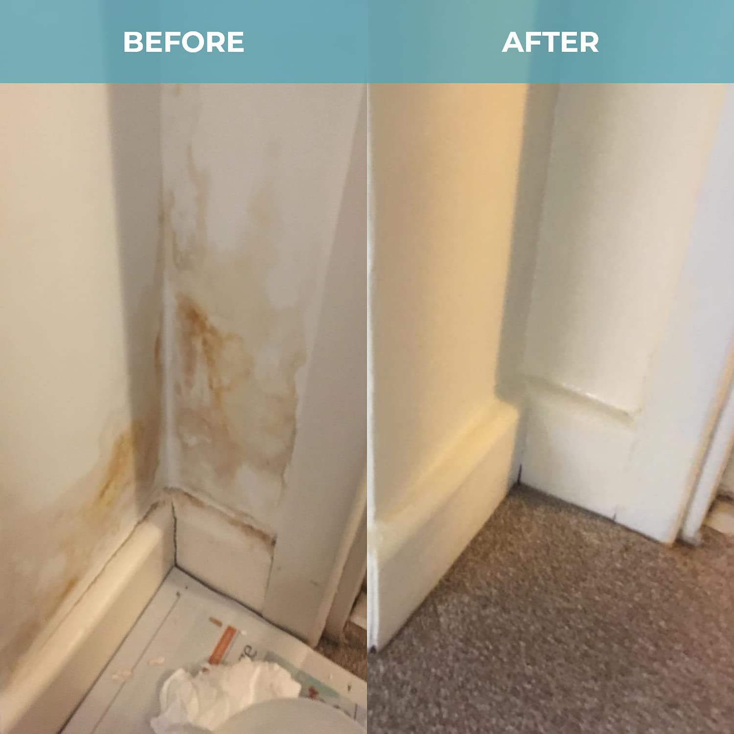 Polar Damp Seal White Anti Damp Paint 500ml, Damp Proof Paint Stain