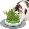 Catit Senses Grass Planter