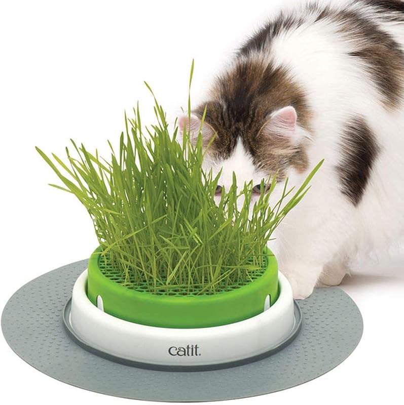 Catit Senses 2.0 Cat Grass Planter | Interactive Cat-Proof Cat Grass Planter and Cat Toy