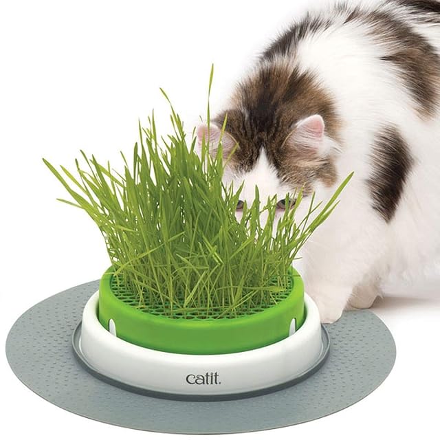 Catit Germinador con Hierba Gatera, Verde, 1 Unidad (Paquete de 1)
