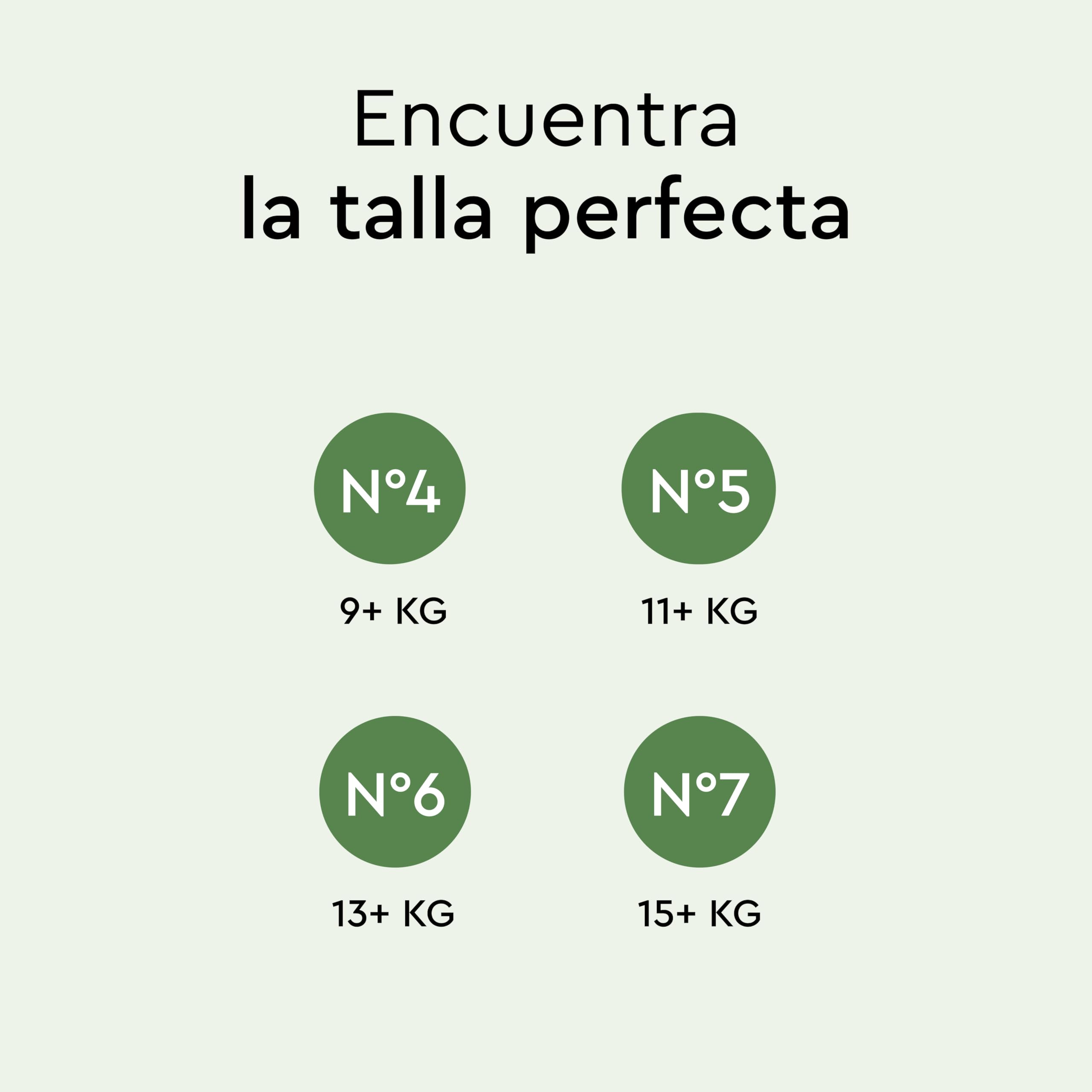 Pañales-braguita LILLYDOO green – talla 5 (11+ kg), caja de medio mes (66 unidades), protección contra fugas, suaves con la piel, sin cloro ni lociones y testados dermatológicamente